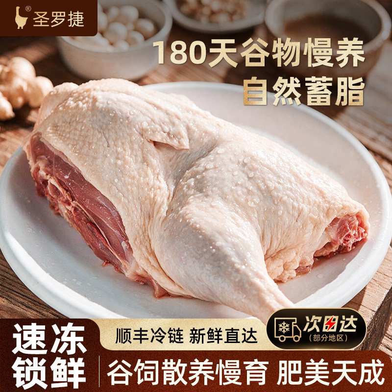 180天谷物饲养新鲜小肥鹅