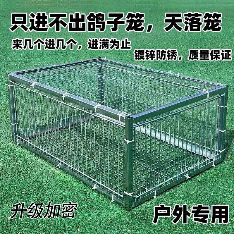 补笼全自动天落笼子撞门捕捉抓收鸽子鸟神器捕笼器加密款网防锈