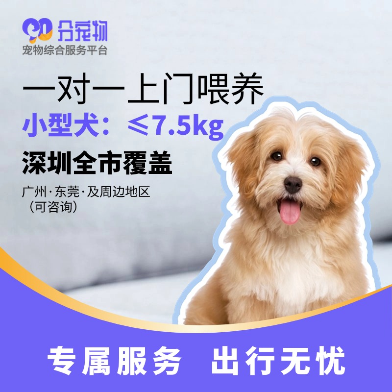 小型犬  上门遛狗上门喂养宠物喂养深圳宠物服务 节假日不可用