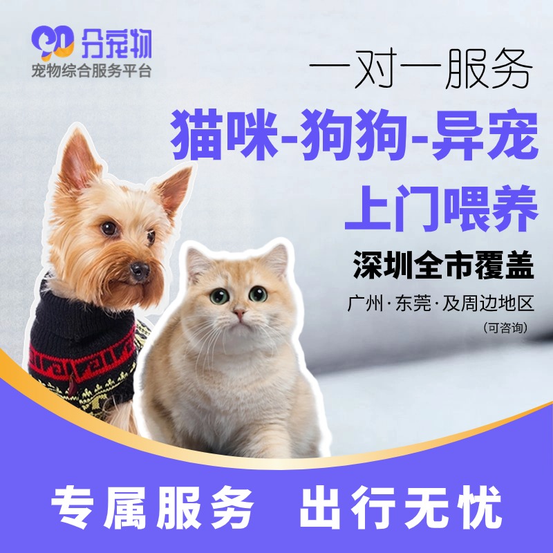 【广东】深圳喂猫遛狗上门喂养上门喂猫宠物上门服务节假日不可用