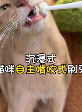 狗狗猫咪牙刷牙膏套装宠物专用去黄结石去口臭牙齿清洁口腔可食用
