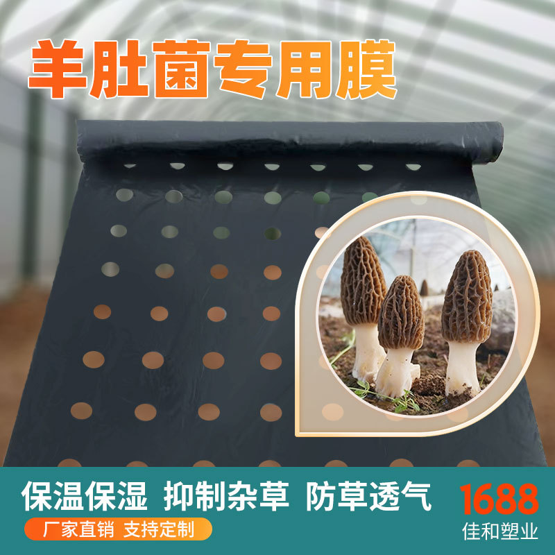厂家直销用黑色打孔地膜保温保湿防草透气 农用薄膜小孔羊肚菌膜
