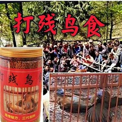 画眉饲料,打残鸟食,饲料配方独特,提性快,打斗凶残,断指也不跑