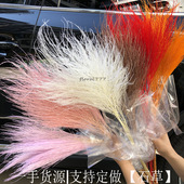 芦荀草草长毛草ins风婚庆永生花配材 梦幻草永生石草 芦荀草