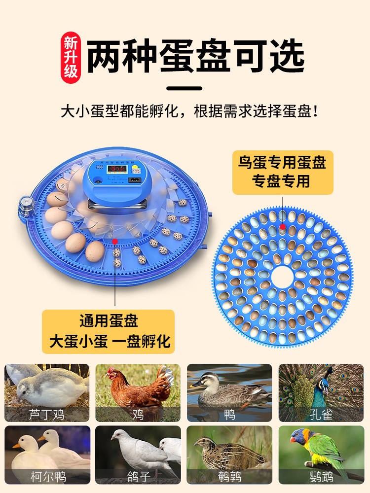 芦丁鸡小飞碟孵化器智能全自动小型家用孵蛋器孵化箱小鸡蛋孵化机