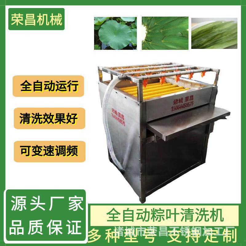 粽叶毛辊清洗机 全自动芦苇叶刷洗机 毛竹柊叶清洗设备