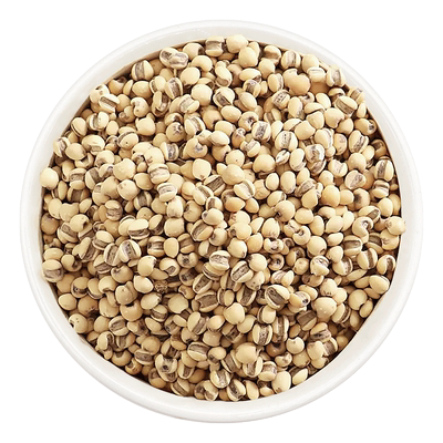 麸炒薏苡仁10g国药集团冯了性