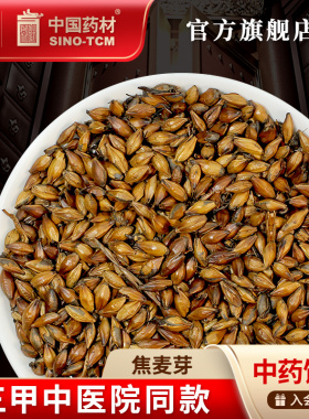 焦麦芽10g 国药集团冯了性中药饮片批发小包装中药材抓配中国药材