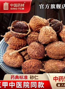 砂仁10g 国药集团冯了性中药饮片批发小包装中药材抓配中国药材