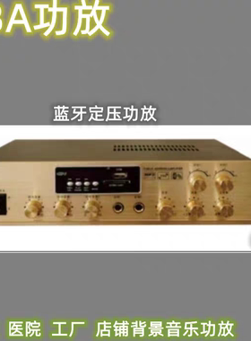 PBA功放  定压功放  背景音乐功放  店铺吸顶功放迪声 TADS