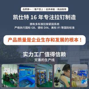 铝合金新能源发动机抽芯铆钉02961堵头铆钉 现货堵头铆钉