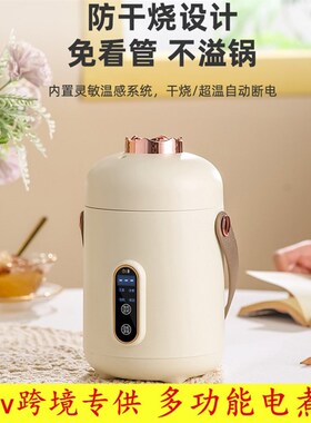 110v小家电智能小电炖锅煮粥神器多功能迷你便携式煲汤熬粥养生壶