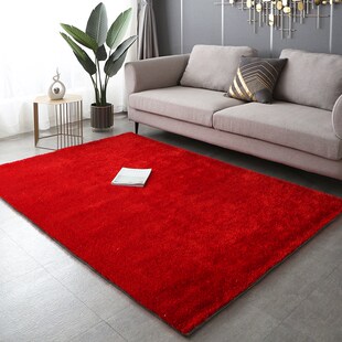 黑灰色韩国丝亮丝地毯商用瓷砖店展台服装橱窗客厅茶W几垫毯子地