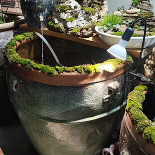 粗陶土陶养鱼缸古法缸园林景观布景茶楼装饰流水缸 风水缸 门海13