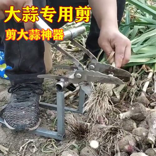 大蒜专用剪手动多功能剪大蒜工具剪蒜剪子蒜头剪子削蒜胡须剪农用