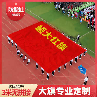 超大国旗定制定做运动会大旗