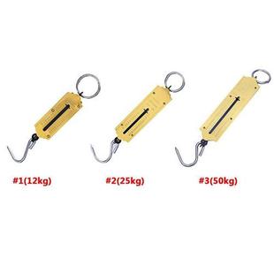 Weight Scale 50kg Hand-Held Spring Mechanical Scale Luggage