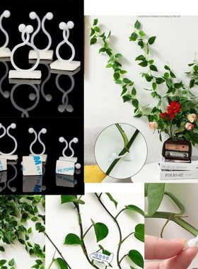 Plant climbing wall Self-Adhesive Fastener Tied fixture Vine