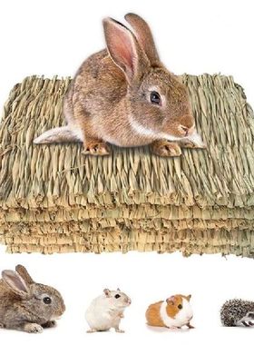 Small Animal Mat Chewable Bedding Mat Cage Mat Fresh