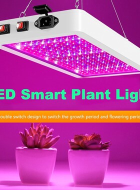 LED Grow Light 2000W Waterproof Phytolamp 2835 Leds Chip Phy