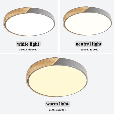 LED Ceiling Lights ltra Thin Modern Ceiling Lamp Nordic Dimm