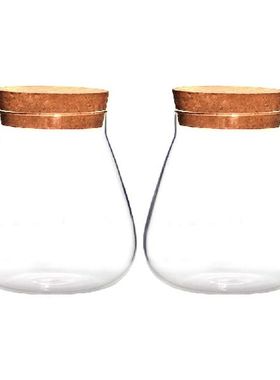 Planter Terrariums Glass Clear Globe Planter Modern Flower