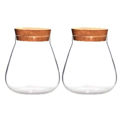 Planter Terrariums Glass Clear Globe Planter Modern Flower