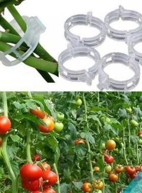 50pcs/lot Transparent Garden Securing Clip Vegetables Plant