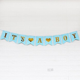 Pink Blue Paper Banner Decorations Baby Shower Its a Girl Bo