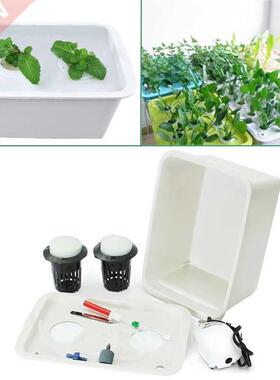 220V Plant Site Hydroponic System 2 Holes Indoor Garden Cabi