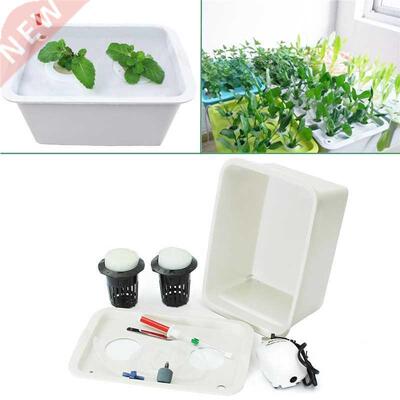 220V Plant Site Hydroponic System 2 Holes Indoor Garden Cabi