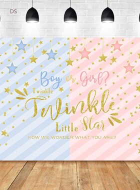 NeoBack Twinkle Star Backdrop Gender Reveal Party Boy or Gi