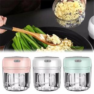 Kitchen Electric Chopper Garlic Masher Meat Grinder Mini