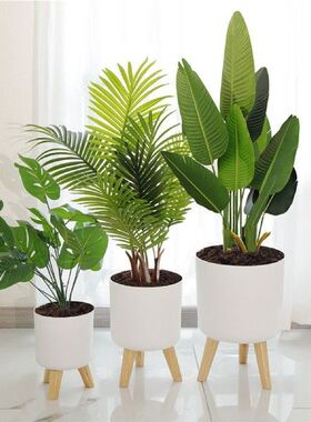 Modern Planter With Stand Watering Flowerpot Gardening
