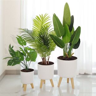 Modern Planter With Stand Watering Flowerpot Gardening
