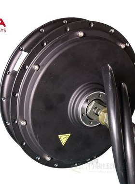 QS 205 50H V3I/V3 E-Bike Spoke Hub Motor 5T 650RPM@72V for e