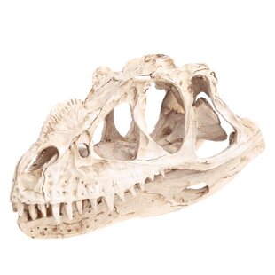 Ceratosaurus Dinosaur Skull Resin Crafts Fossil Skeleton Tea