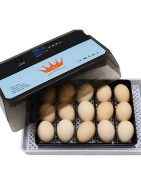 Automatic  Egg Incubator Brooder Intelligent Digital Egg
