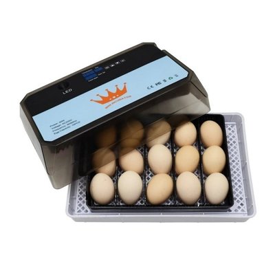 Automatic  Egg Incubator Brooder Intelligent Digital Egg