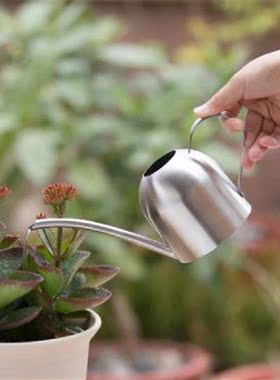 500ml Watering Pot Stainless Steel Long Nozzle Watering Can