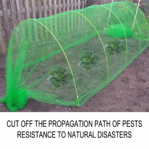 Insect Protection Net Bug Insect Bird Net Barrier