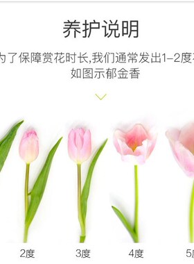 Surprise flowers mixed combination of yunnan kunming