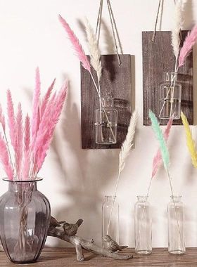 15 Pcs Dried Small Pampas Grass Phragmites Communis