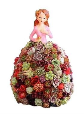Succulent Plant Pot Fairy Tale Flowerpot Outdoor Indoor