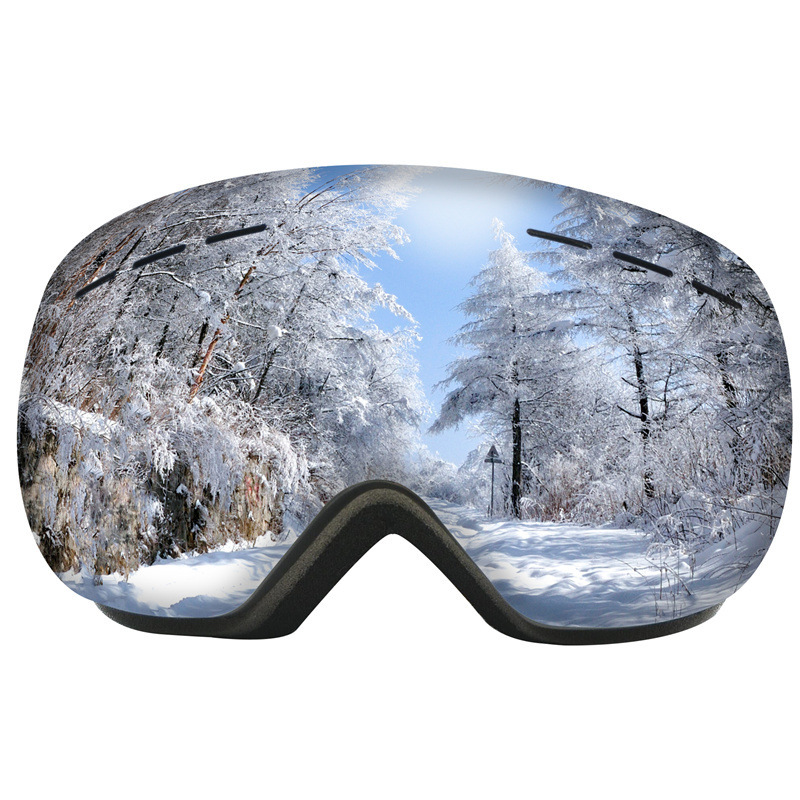 Double Layers Anti-Fog Ski Goggles Snow Snowboard Glasses Sn