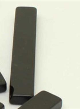 4PCS 55x8x4mm Rare Earth Magnet With Epoxy Coated Block Rect