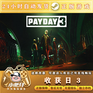 Steam正版国区 收获日3 PAYDAY 3 CDK激活入库代注册账户在线联机