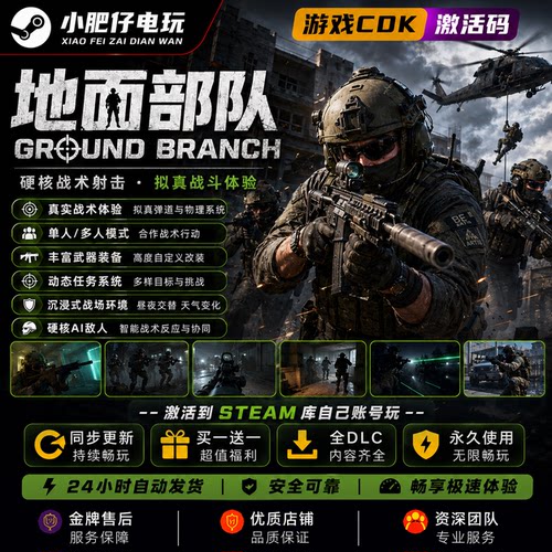 Steam正版游戏地面部队激活入库 Ground Branch 联机 汉化中文