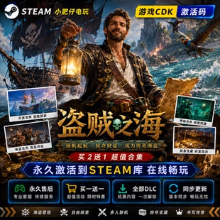 steam正版盗贼之海 家庭共享入库Sea of Thieves 在线联机标准版
