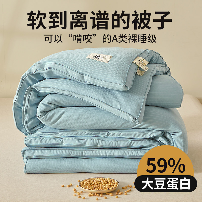 A类大豆纤维全棉纯棉被子冬被春秋被芯2023新款冬季天加厚保暖丝